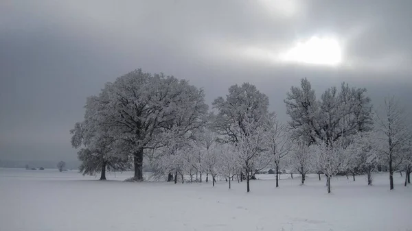 Bulutlu Bir Günde Karlı Bir Tarlanın Güzel Beyaz Manzarası — Stok fotoğraf