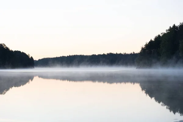 Una Vista Panorámica Tranquilo Lago Bosque Durante Día Niebla — Foto de Stock