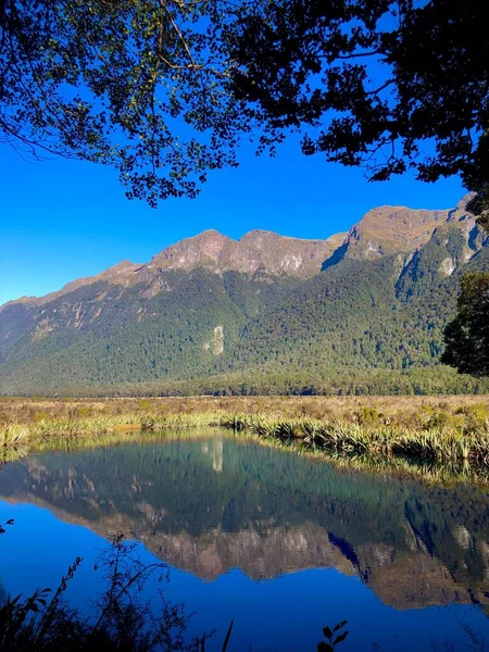 Fiordland Nationalpark Nya Zeeland — Stockfoto