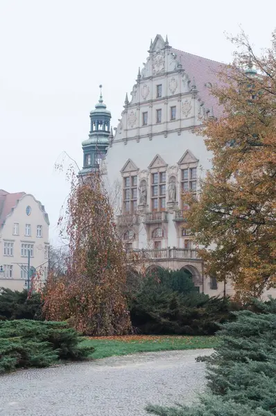 Eine Vertikale Der Adam Mickiewicz Universität Einem Düsteren Herbsttag — Stockfoto