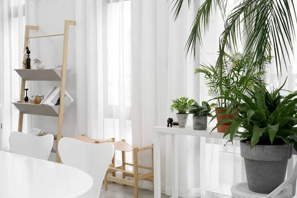 Una Hermosa Decoración Interior Minimalista Para Casa — Foto de Stock