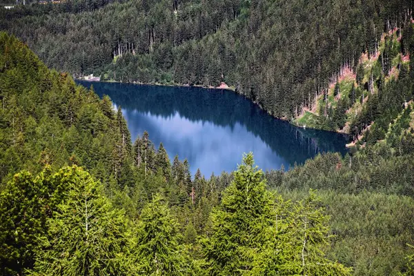 Una Vista Pájaro Lago Rodeado Montañas Forestales — Foto de Stock