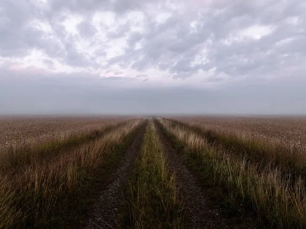 Uma Vista Panorâmica Vastas Terras Agrícolas Sob Céu Nublado Campo — Fotografia de Stock