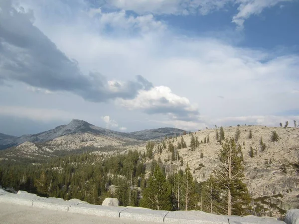 Yosemite Ulusal Parkı Dağları Ağaçları — Stok fotoğraf