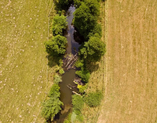 晴れた朝に緑の農地で川の一族の空中ビュー — ストック写真