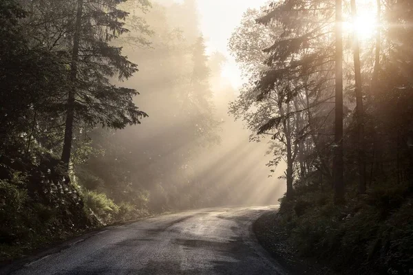 Una Hermosa Toma Una Carretera Trodheim Noruega Tiempo Brumoso — Foto de Stock