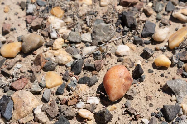Closeup Shot Gravel Pebbles Ground Sunlight — Stock Photo, Image
