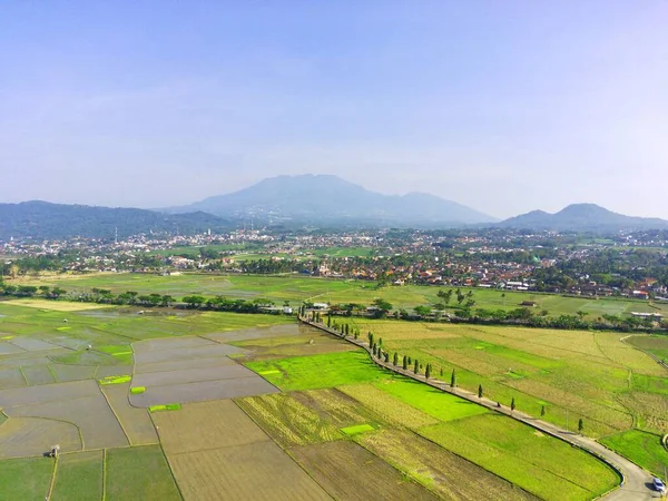 Eine Drohnenaufnahme Von Reisfeldern Mit Dem Stadtbild Von Ambarawa Und — Stockfoto