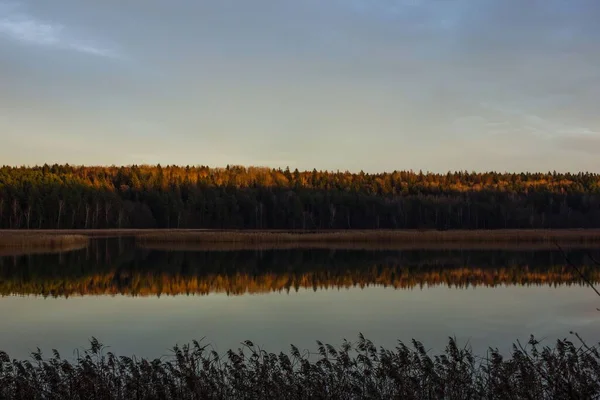 森の近くの反射池の上の明るい夕日の空の美しいショット — ストック写真