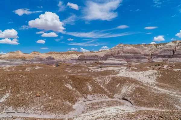 Een Panoramisch Uitzicht Landschappen Blauwe Mesa Trail Het Petrified Forest — Stockfoto