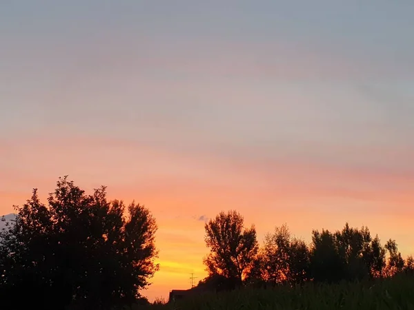 Пейзаж Тіней Дерев Під Час Прекрасного Заходу Сонця Ввечері — стокове фото
