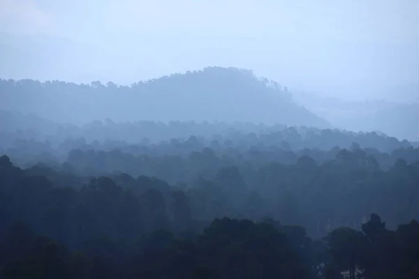Mglisty Las Góry Niebieskie Odcienie — Zdjęcie stockowe