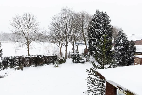 家の近くの凍った雪の白い公園の美しいショット — ストック写真