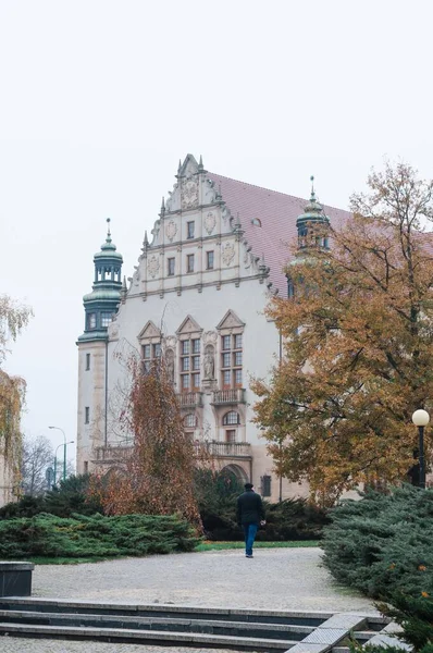 Eine Vertikale Der Adam Mickiewicz Universität Einem Düsteren Herbsttag — Stockfoto