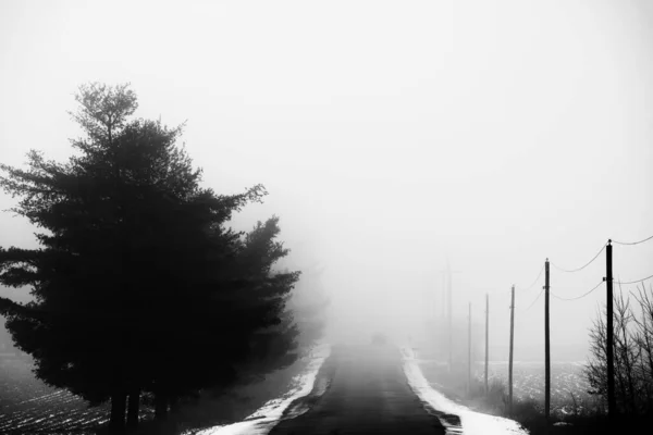 Grayscale Shot Narrow Road Countryside Foggy Winter Day — Stock Photo, Image