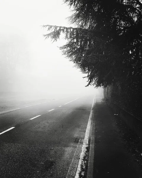 シンプルな道を覆う霧 — ストック写真