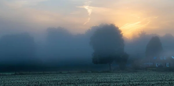 Захватывающий Вид Деревья Поле Время Цветного Заката Пасмурный Туманный День — стоковое фото