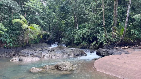 コスタリカの鬱蒼としたジャングルの中を流れる川 — ストック写真