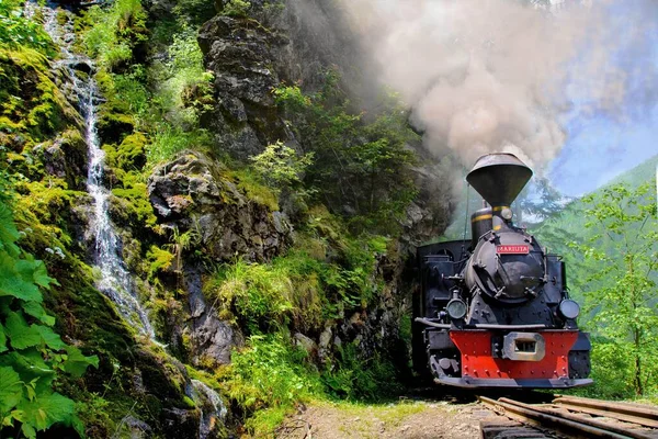 Mocanita Steam Train Narrow Gauge Green Mountains Blue Sky — Stock Photo, Image