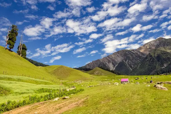 Una Hermosa Foto Los Exuberantes Paisajes Verdes Cachemira — Foto de Stock