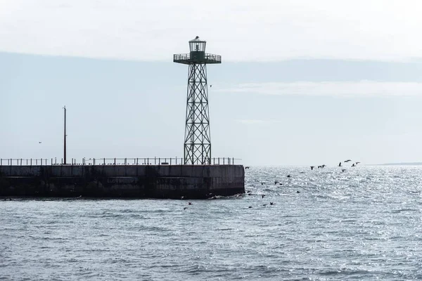 Gözetleme Kulesi Deniz Kenarında Uçan Kuş Sürüsü Olan Bir Iskele — Stok fotoğraf