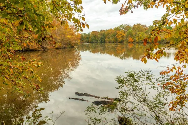 メリーランド州ボルティモアの美しいローランド湖公園寒い秋の日 — ストック写真