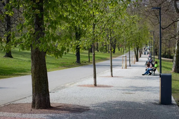 Stromovka Royal Park Com Uma Fileira Árvores Verdes Pessoas Descansando — Fotografia de Stock