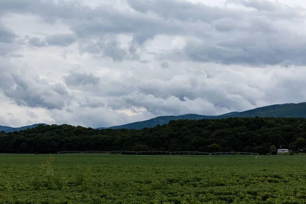 Чудовий Виріб Сільськогосподарських Угідь Горах Шенандоа — стокове фото