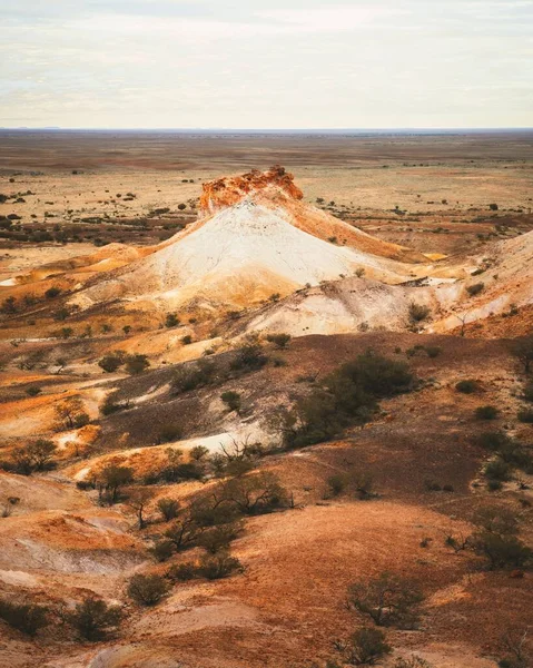 Eine Vertikale Einer Outback Wüste Mit Einer Ginstereidechse Auf Rotem — Stockfoto