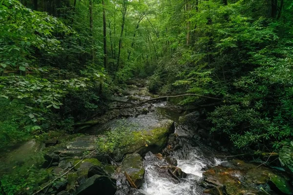 日光の森の緑に囲まれた岩の上の小さな滝 — ストック写真