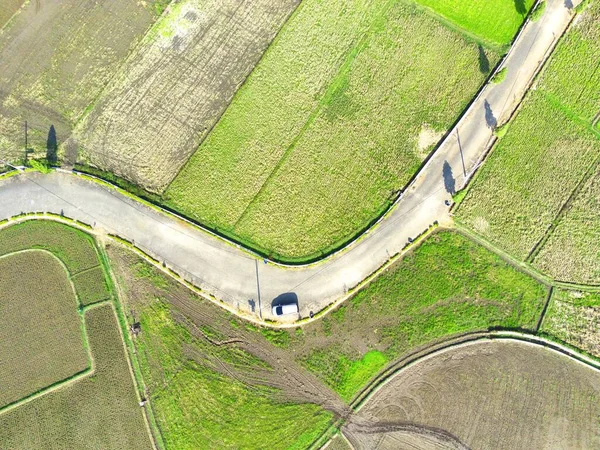 Eine Luftaufnahme Von Reisfeldern Mit Einer Straße Die Durch Sie — Stockfoto