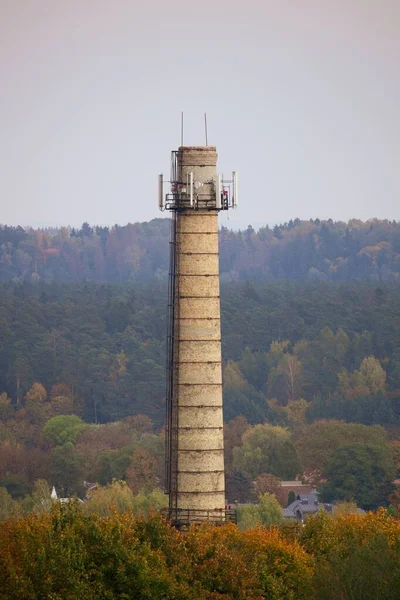 Colpo Verticale Una Torre Acqua Nella Bellissima Foresta — Foto Stock