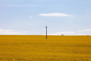 Gündüzleri güzel bir kırsal alan.