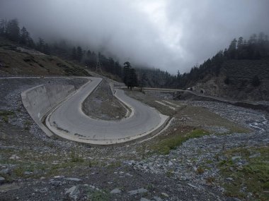 Yol sislerin içinde saklanan orman ağaçlarının önünde kıvrılır.