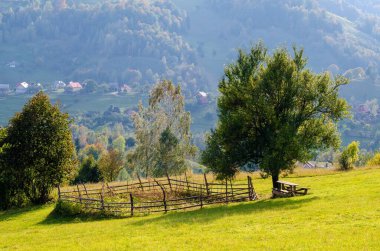 Güneşli bir günde bir dağ çayırında büyük ağaçlarla çevrili küçük bir çit.
