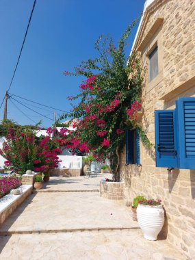 Bir kaldırım taşı caddesi ve eski evleri süsleyen mor çiçekler.