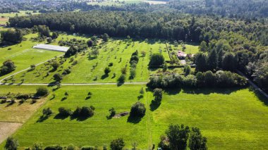 Güneşli bir günde yeşillikle kaplı bir ormanla çevrili bir arazinin drone görüntüsü.