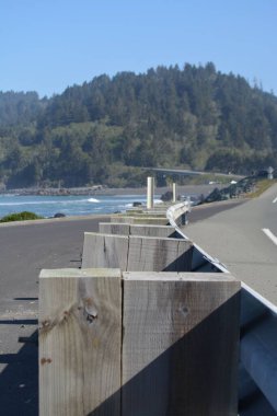 Kuzey Kaliforniya, Pasifik Sahil Otobanı açıklarındaki bir çitin Macro resmi.