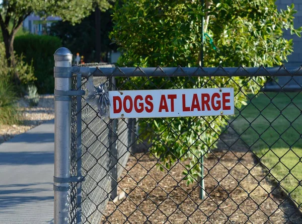 Szelektív Figyelmeztető Tábla Kutyák Szabadlábon Egy Lakossági Láncszem Kerítés — Stock Fotó