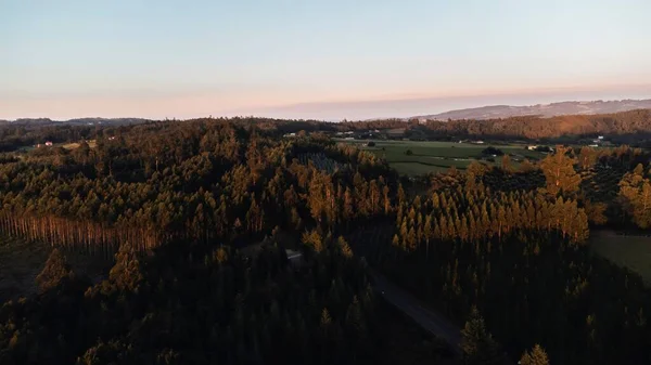 Una Vista Aérea Frondosos Bosques Verdes Una Zona Rural — Foto de Stock