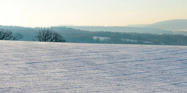 Karla Kaplı Güzel Bir Tarla Sisli Bir Kış Sabahı — Stok fotoğraf