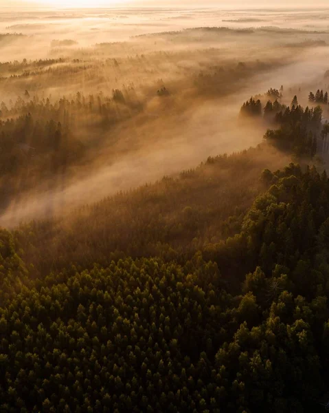 Uma Vista Aérea Uma Floresta Nebulosa Campo Durante Nascer Sol — Fotografia de Stock