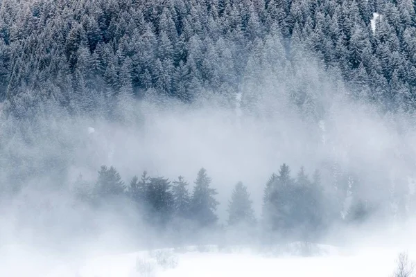 Gyönyörű Kilátás Hófödte Hegyre Fenyőfákkal Egy Ködös Téli Napon — Stock Fotó