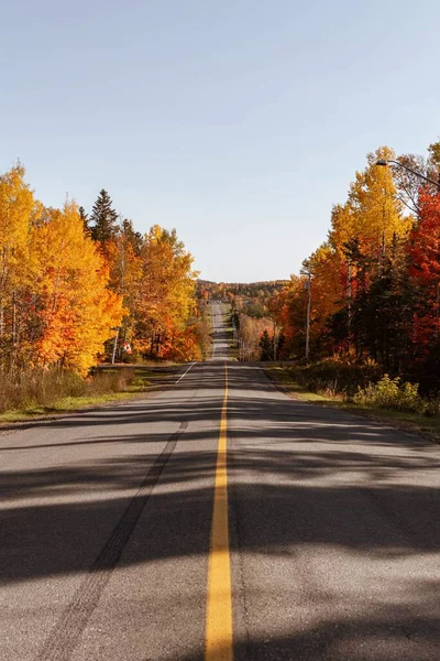 Tiro Vertical Longo Caminho Entre Árvores Coloridas Dia Ensolarado Outono — Fotografia de Stock