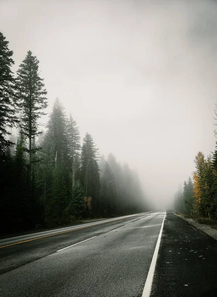 Pionowe Ujęcie Asfaltowej Drogi Przez Mglisty Jesienny Las Banff Alberta — Zdjęcie stockowe