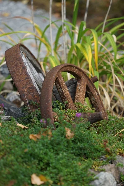 Vertical Shot Rusty Wheels Green Garden — Stock Photo, Image