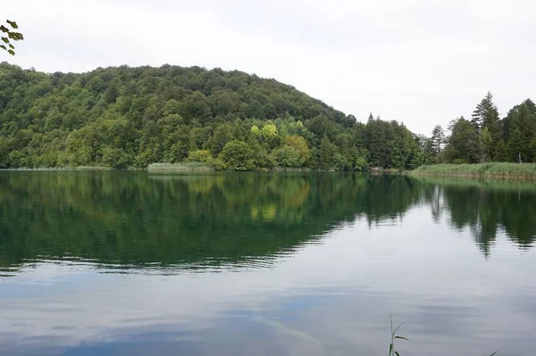Озеро Відображає Розкішні Зелені Дерева Під Білим Небом Національному Парку — стокове фото