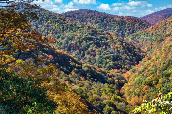 Красива Сцена Лісистих Пагорбів Восени Під Сонцем — стокове фото