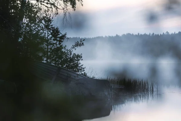 Une Vue Panoramique Sur Lac Calme Forêt Pendant Une Matinée — Photo
