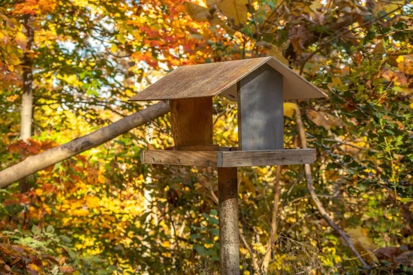 Dřevěný Domek Pro Ptáky Městském Parku Cylburn Arboretum Slunečného Podzimního — Stock fotografie